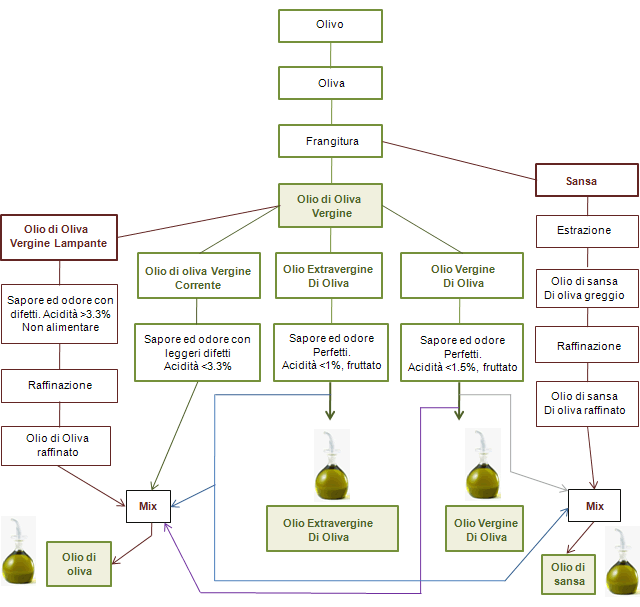 produzione-olio-di-oliva